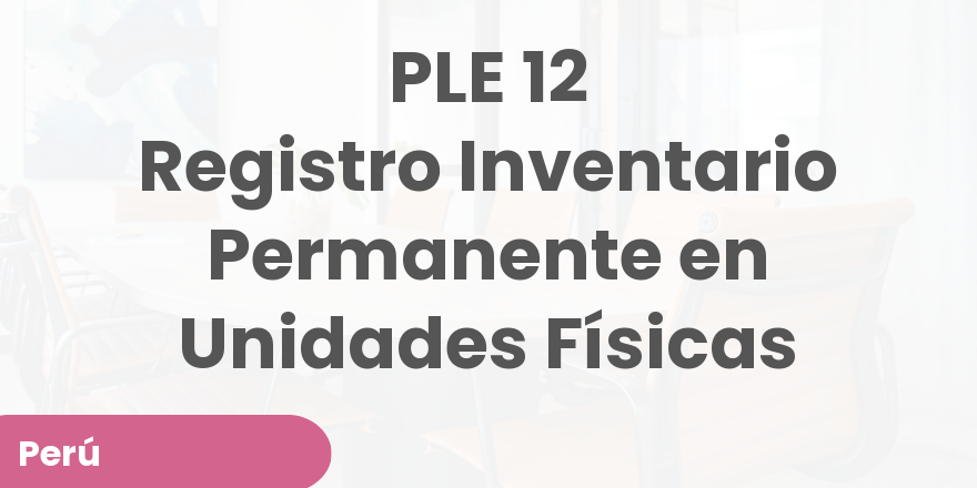 PLE 12 Registro Inventario Permanente en Unidades Físicas (19.0)