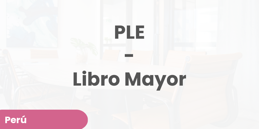 PLE 06 - Libro Mayor