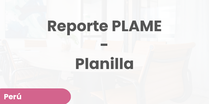 Reporte PLAME - Planilla | Develogers