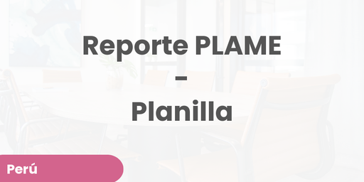 Reporte PLAME - Planilla