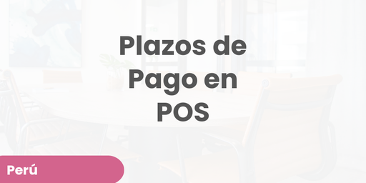 Plazos de Pago en POS