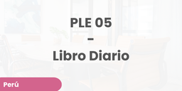 PLE 05 - Libro Diario
